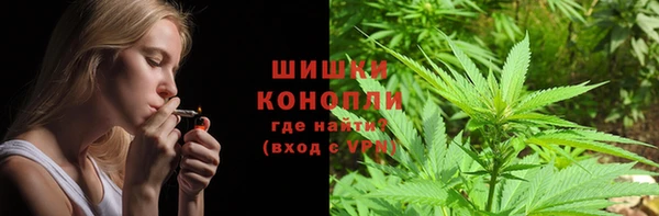 прущая мука Бородино