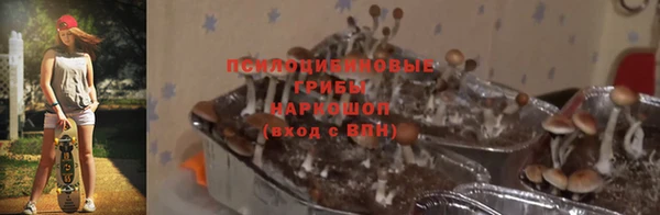 тгк Бронницы