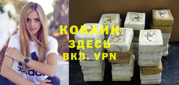 тгк Бронницы