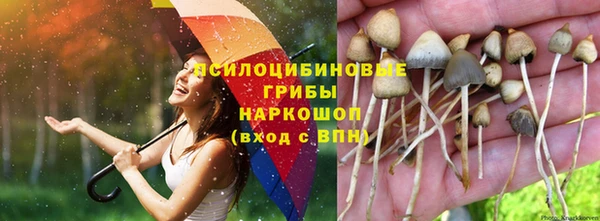 тгк Бронницы