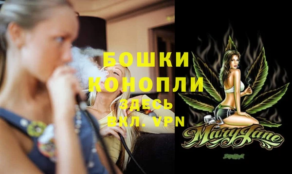 тгк Бронницы