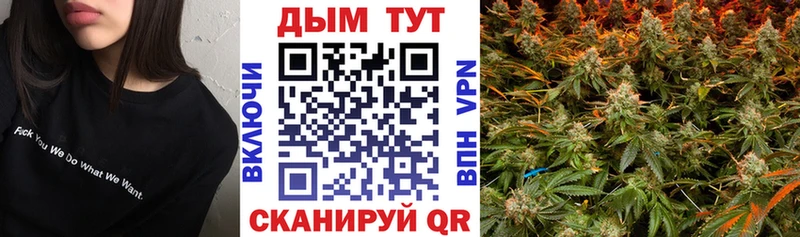 blacksprut зеркало  Невель  Конопля семена 